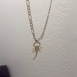 24” 14k Gold Chain And Scorpion Pendant