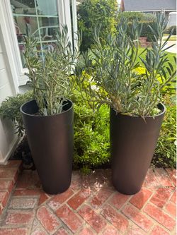 Pottery Barn Black Pots