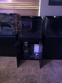 Fish tank 45g Rimless Starfire