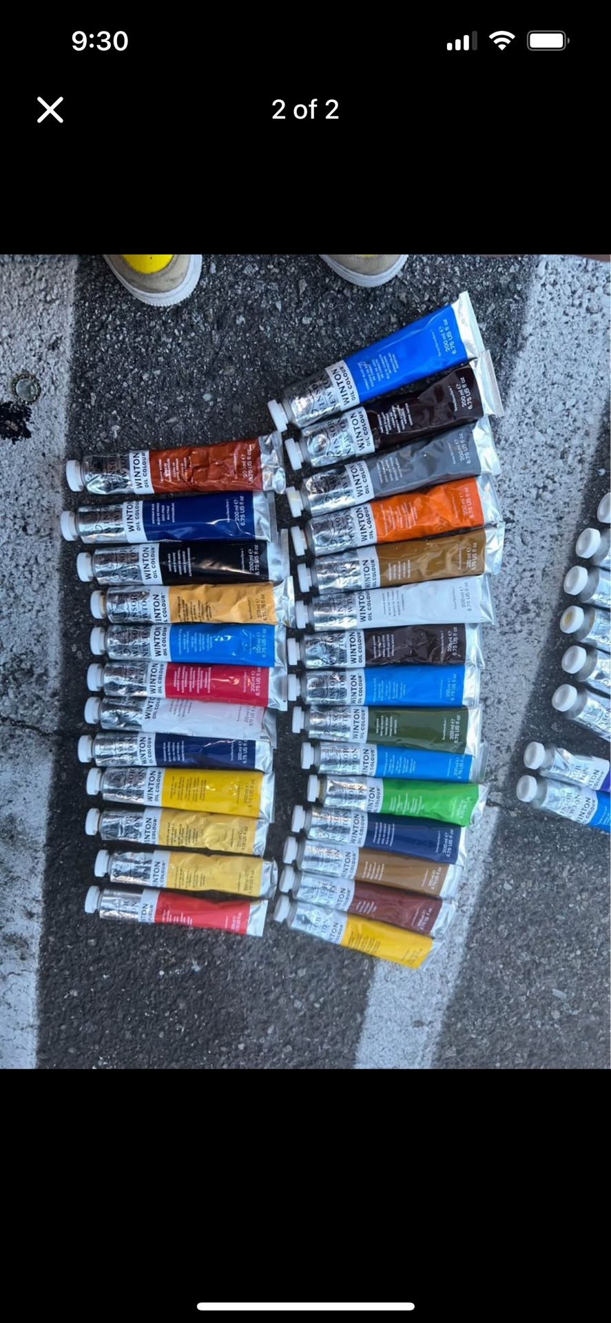 All For 210$ Winsor And Newton Oil Paints