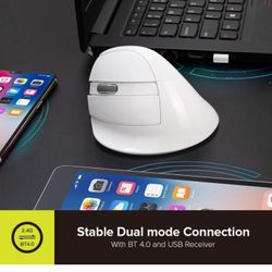 Mouse 