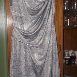 Dinner Chrome/Silver  Party Dress