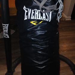 Punching Bag And Stand