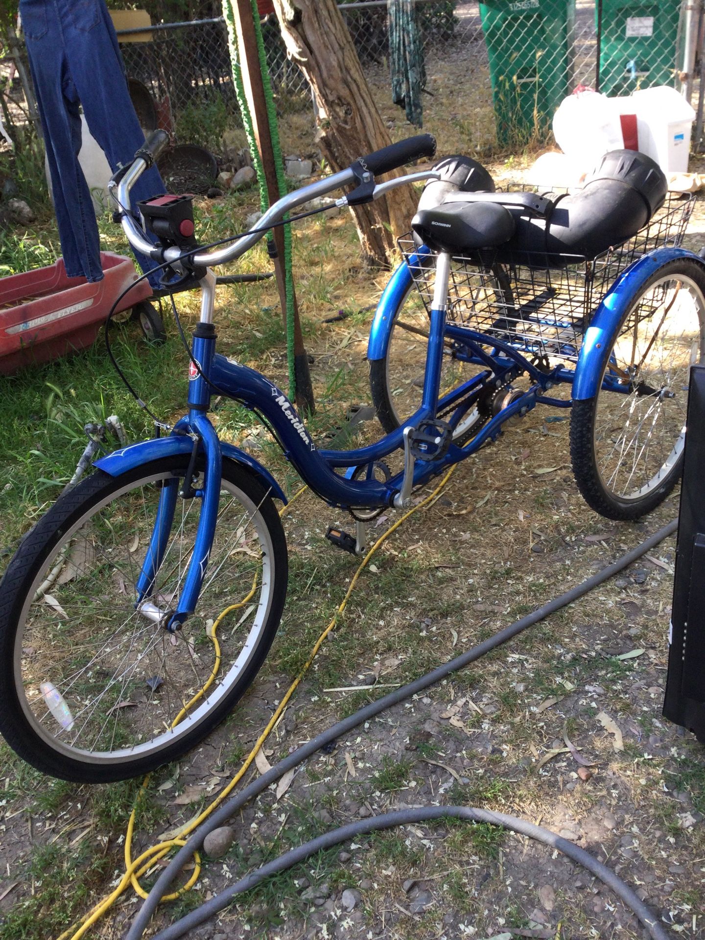 Schwinn 3 wheeler bike comes with nice Bluetooth atv speaker