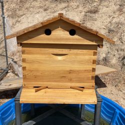 Bee Hive With Valves. Includes The Queen And Bees
