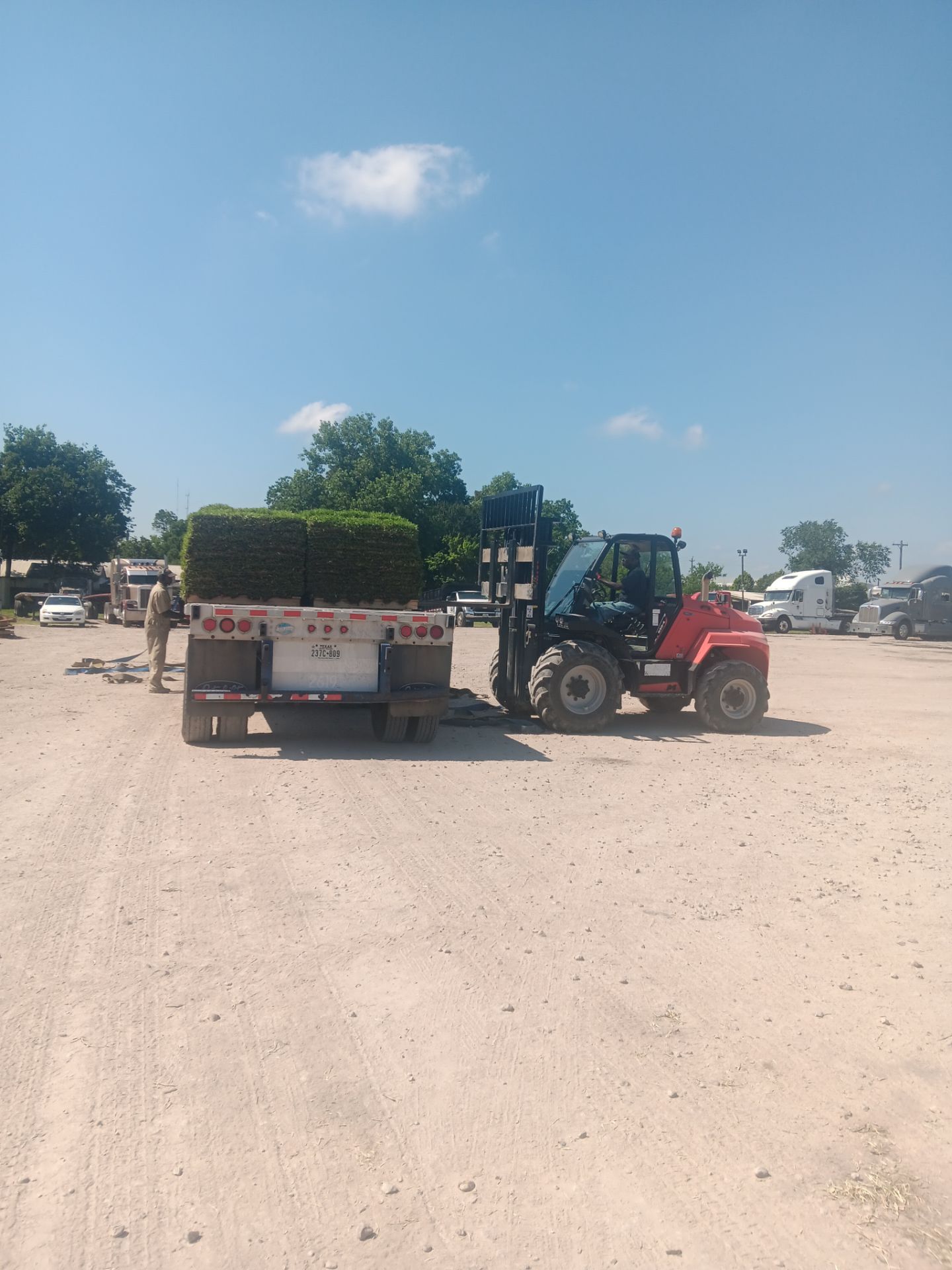 Pallet of sod