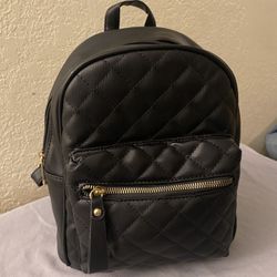 Backpack 🎒/Handbag 