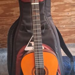 Acoustic Guitar