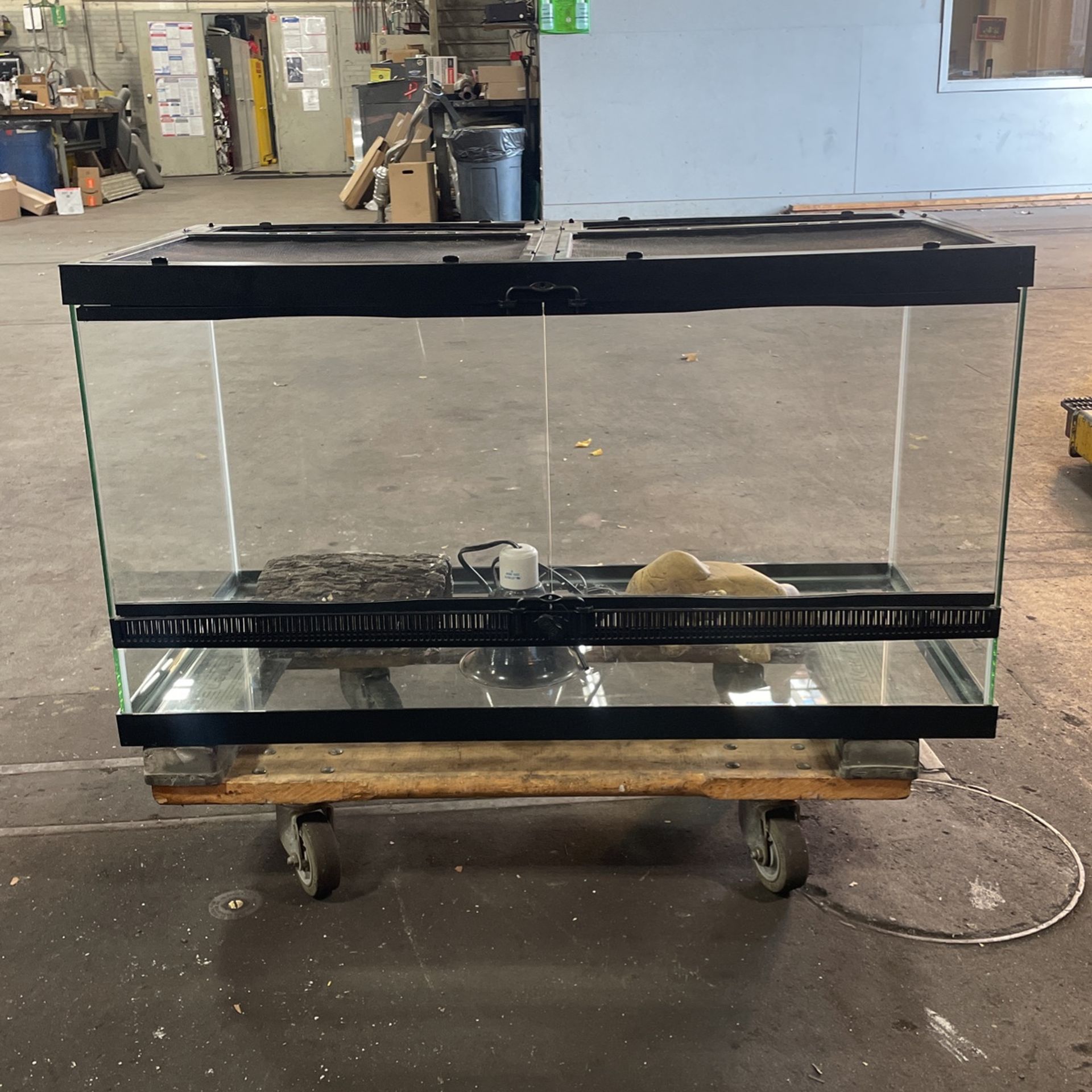 Reptile Tank