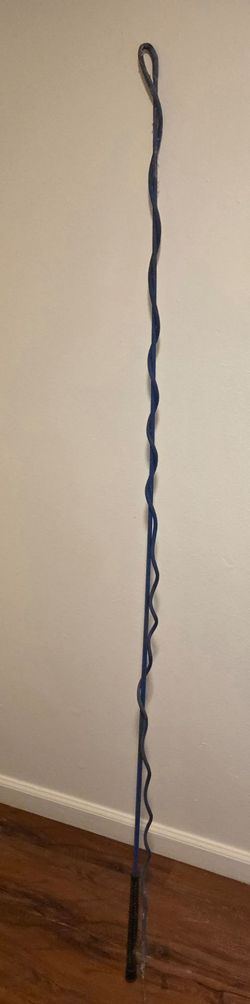 Lunge whip for horses