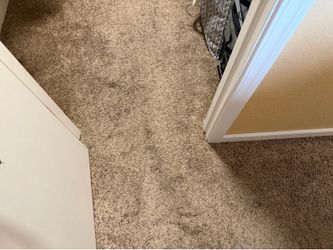 Carpet | 1 year use