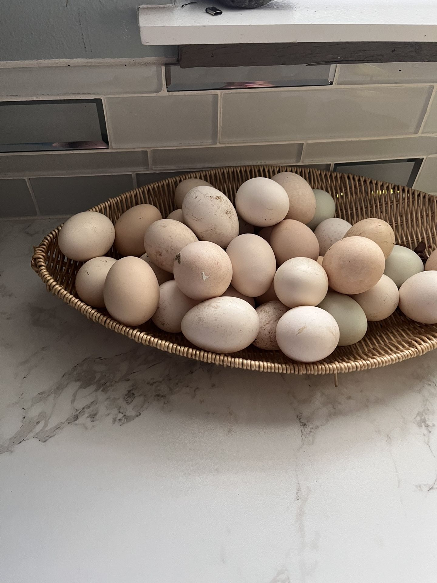 1 Dozen For Eight Dollars