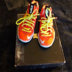 LeBron 10's crinson
