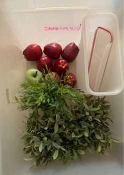Artificial Plants & Apples