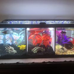 Fish Tank And Stand With Accessories 
