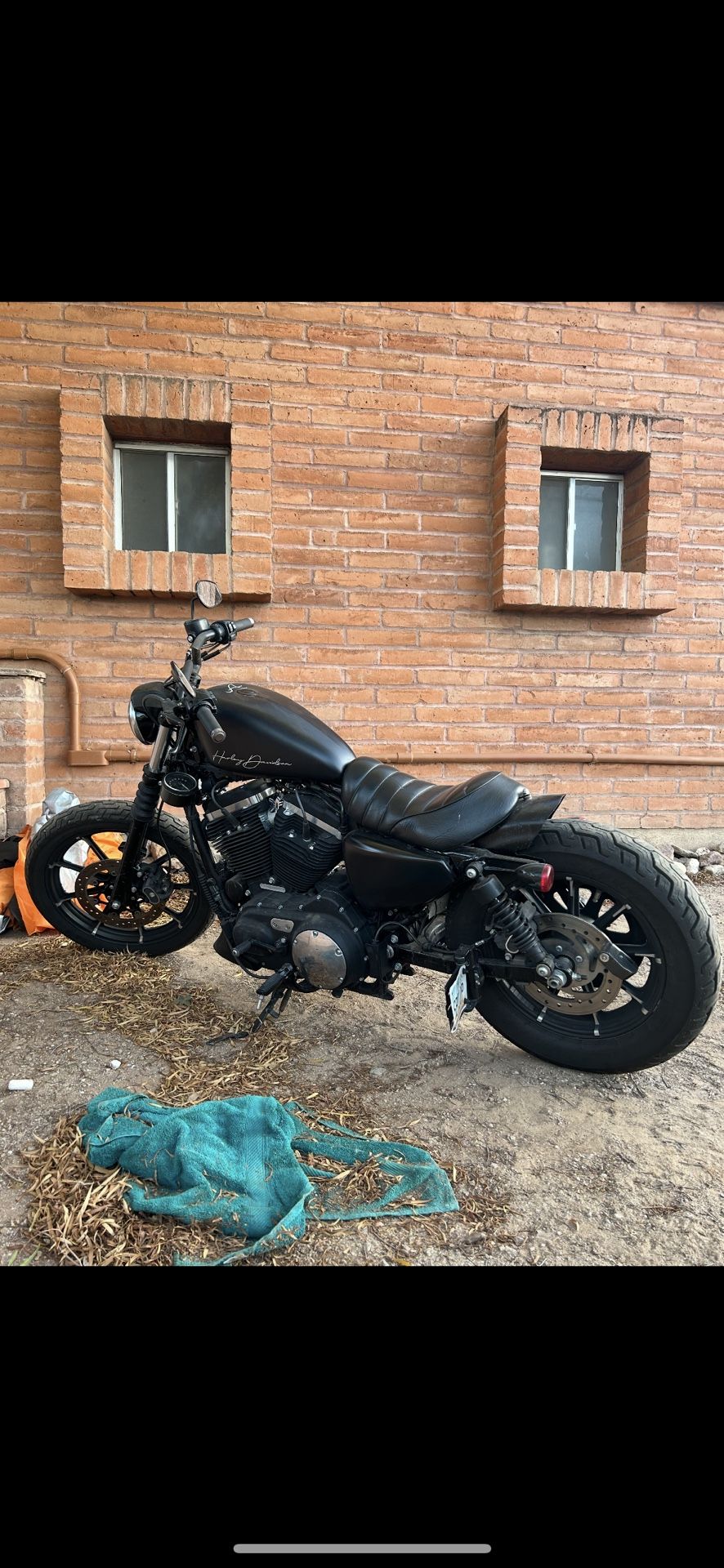 2019 Harley Davidson Sportster