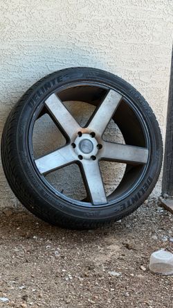 Rines 24”