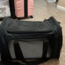 Small Dog Mesh Carrier