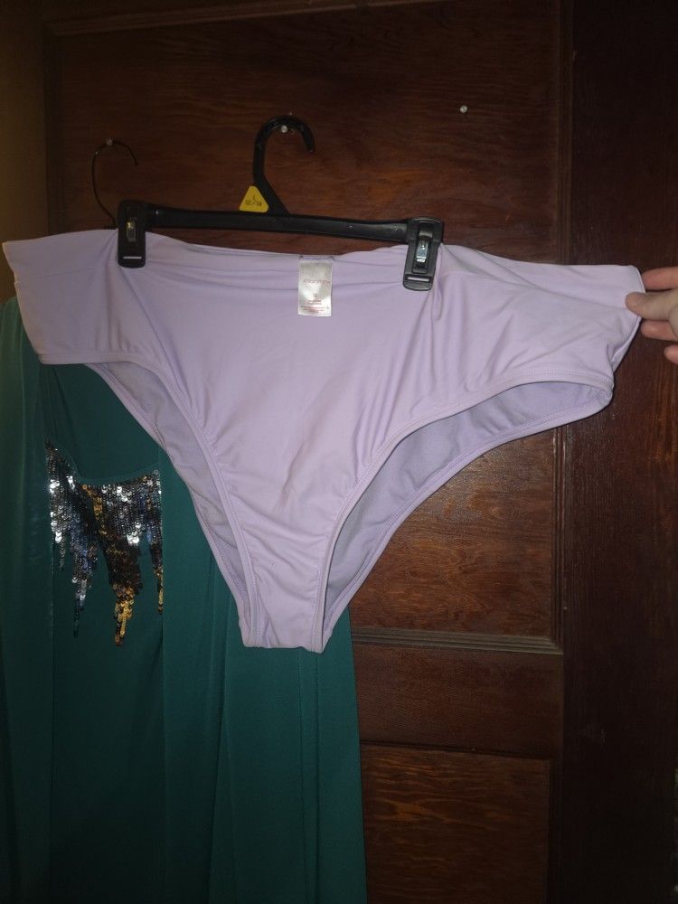 Womens Bikini Bottom (NWOT)