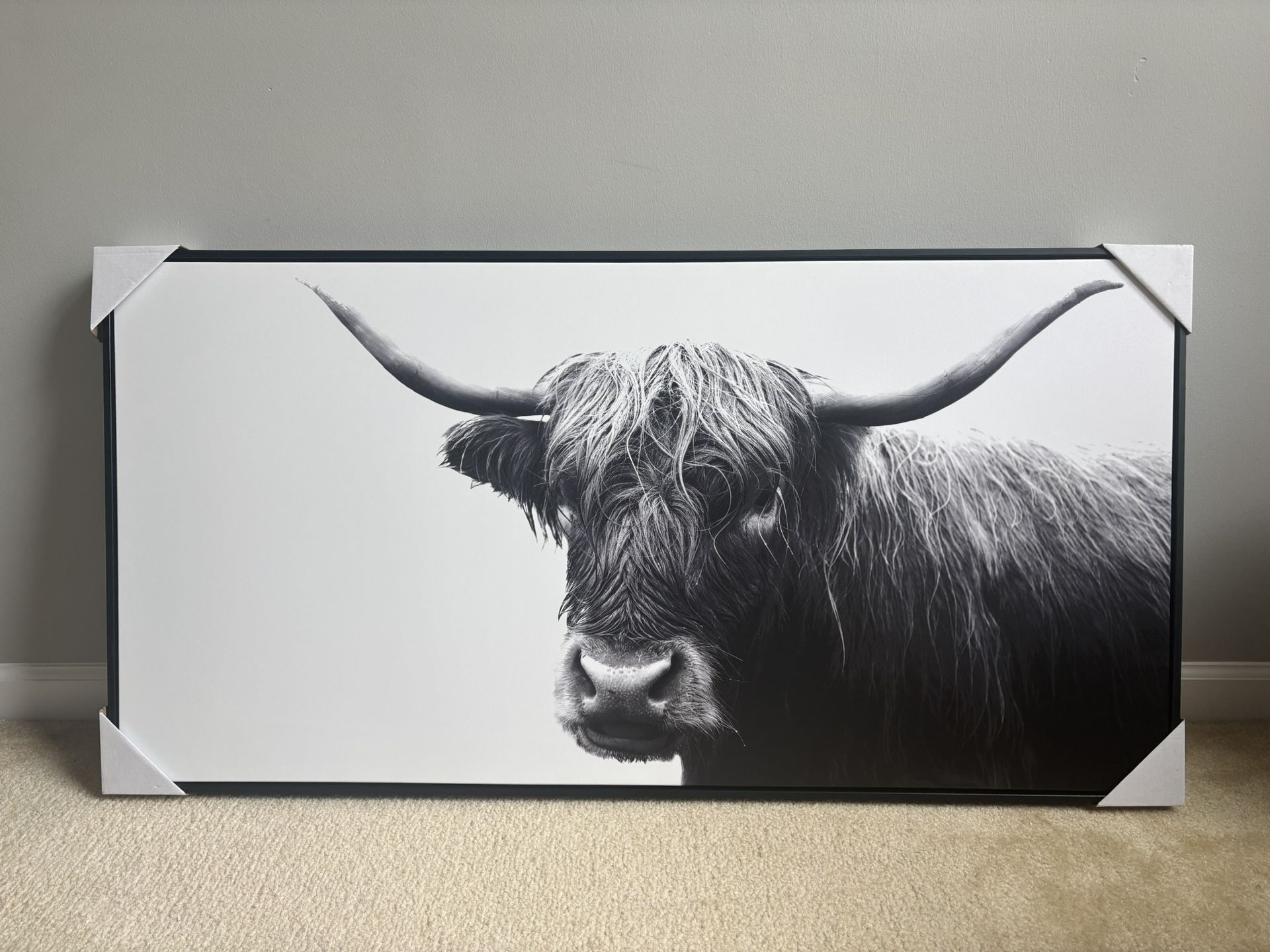 Cow Picture