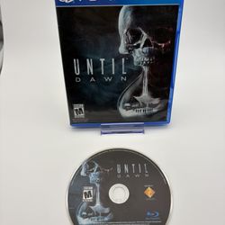 Until Dawn