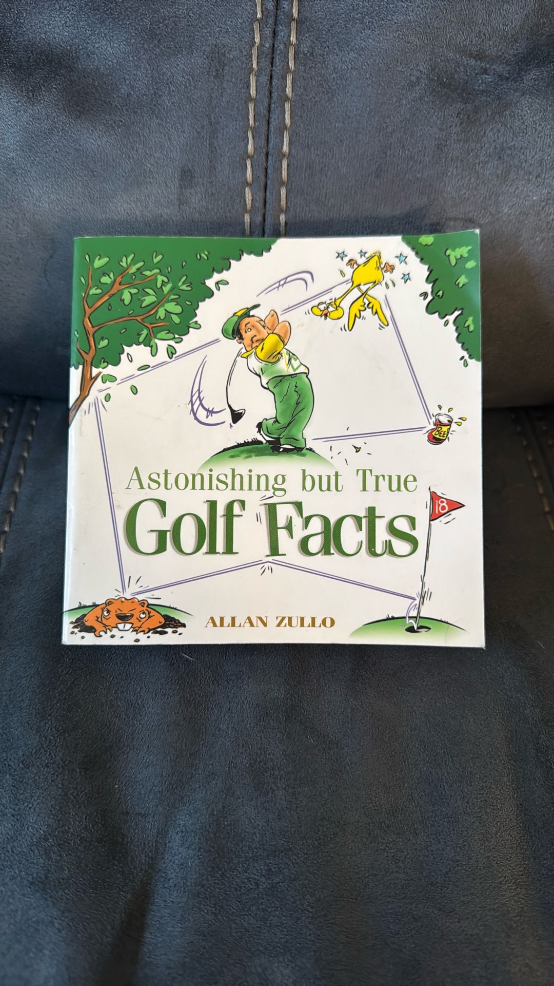 Astonishing But True Golf Facts By Allan Zullo Paperback Soft Cover Book