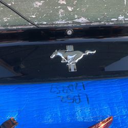 15-23 Ford Mustang Trunk Black Rear Spoiler Trunk Deck Lid Panel Cover W/ Camera (OEM)