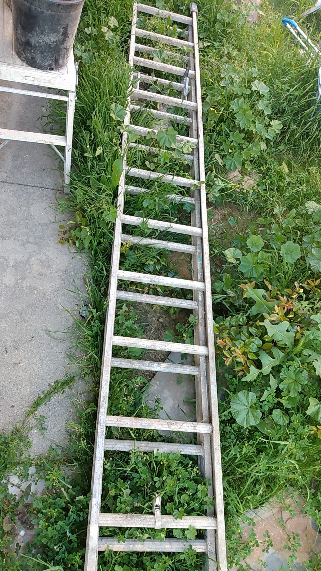 16 foot Werner ladder
