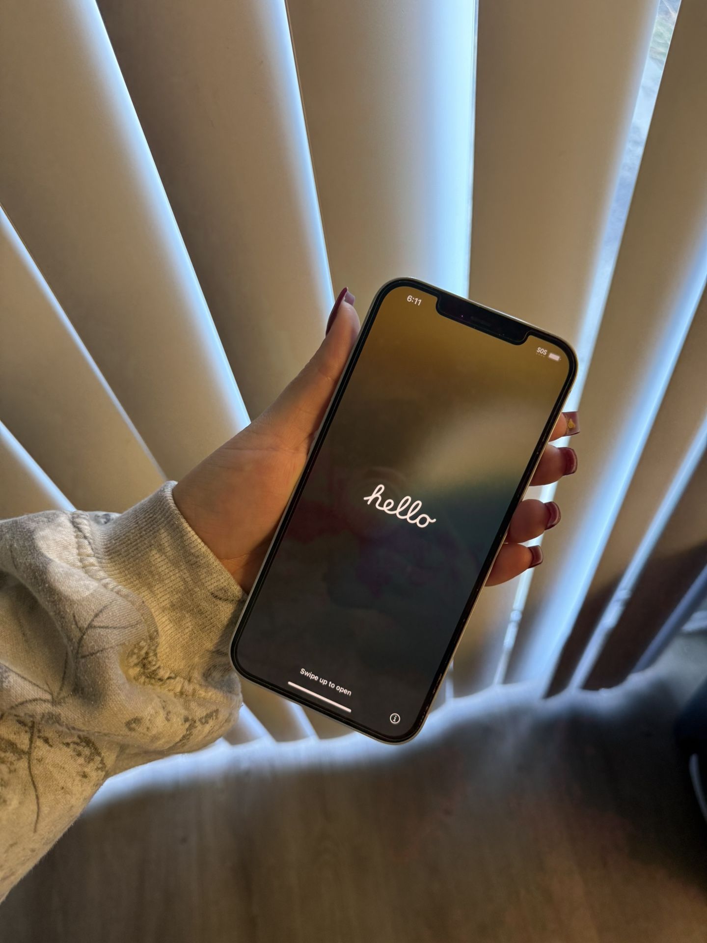 iPhone 12 Pro Max