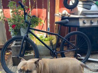 Crew bike, crewser bike 26 box bike