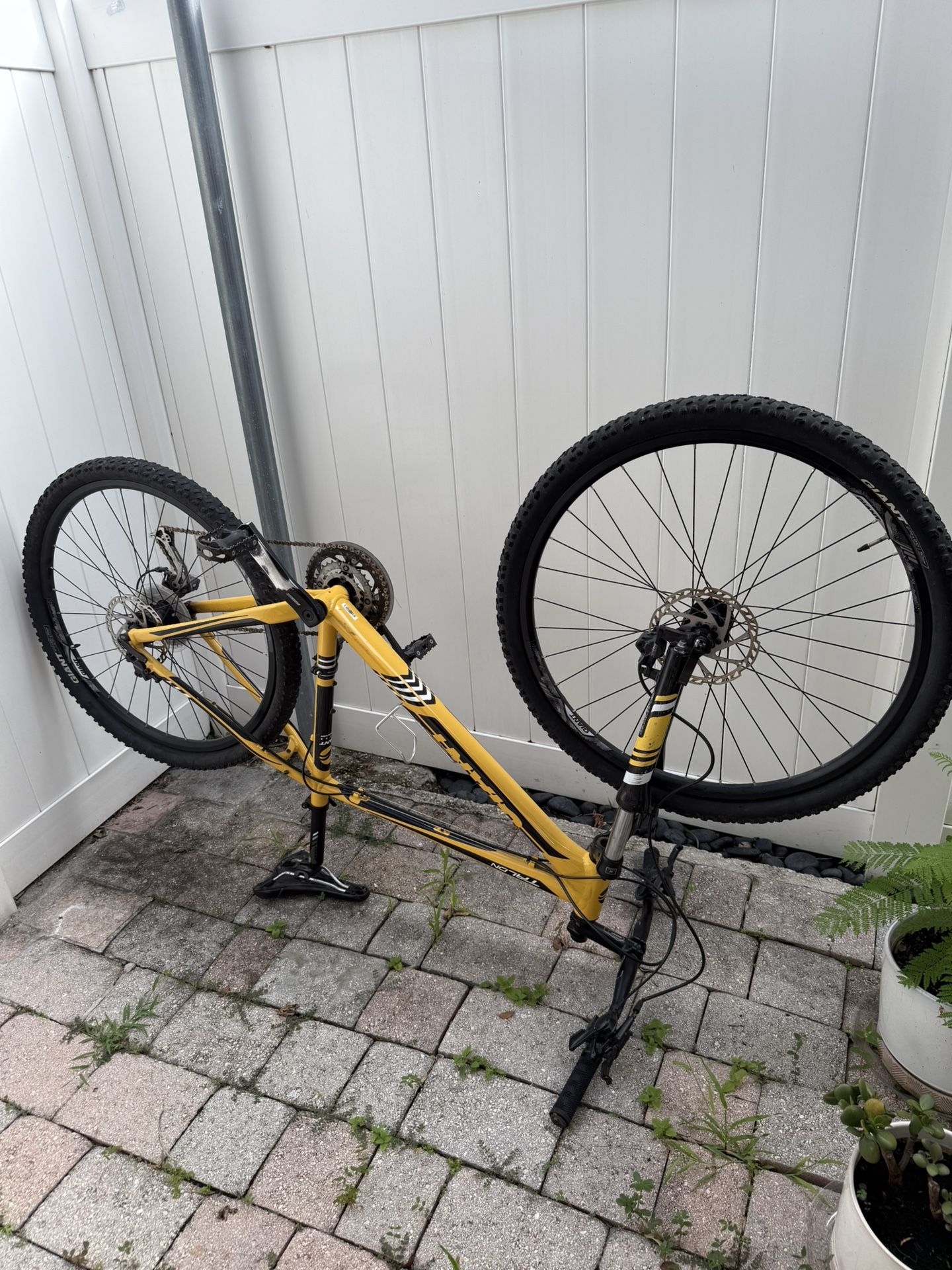 Mountain Bike
