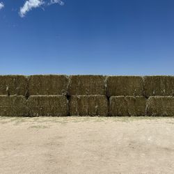 Wheat Hay Bales