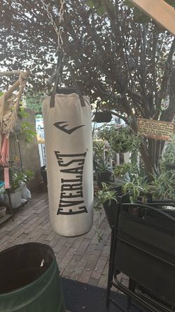 Free boxing bag everlast bag free