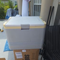 Igloo Electric Cooler 12v