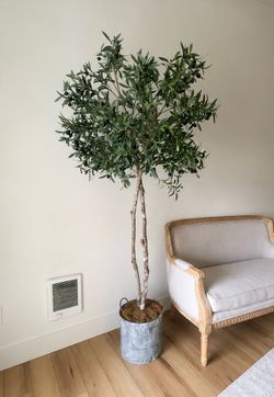 D&W Silks Green Olive Tree (78in)