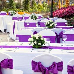 Rento Manteles Forros Moños 