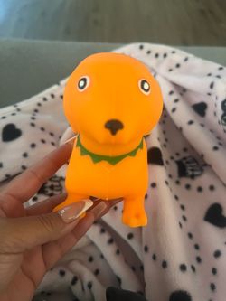 Squishy dachshund