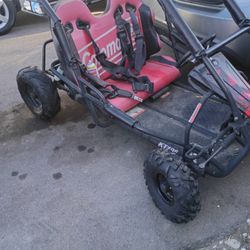 Kt 196 Coleman Dune Buggy