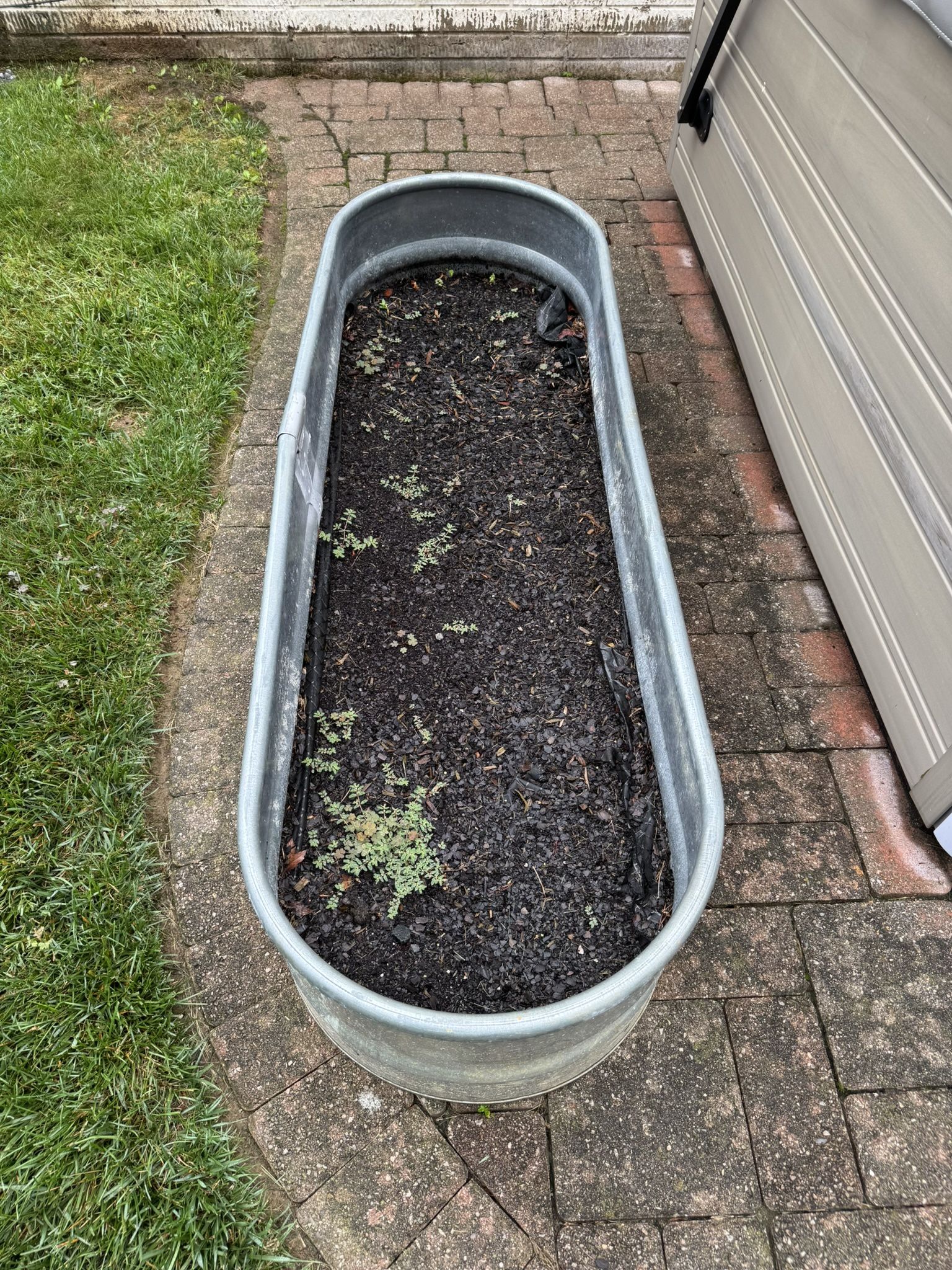 Galvanized Above Ground planting Tub