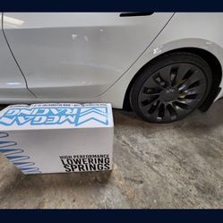 MEGAN RACING LOWERING SPRINGS FOR TESLA MODEL 3 DUAL MOTOR OR PERFORMANCE MODEL Y CALIPER PAINT ACCESSORIES