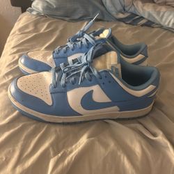 Nike Dunks 