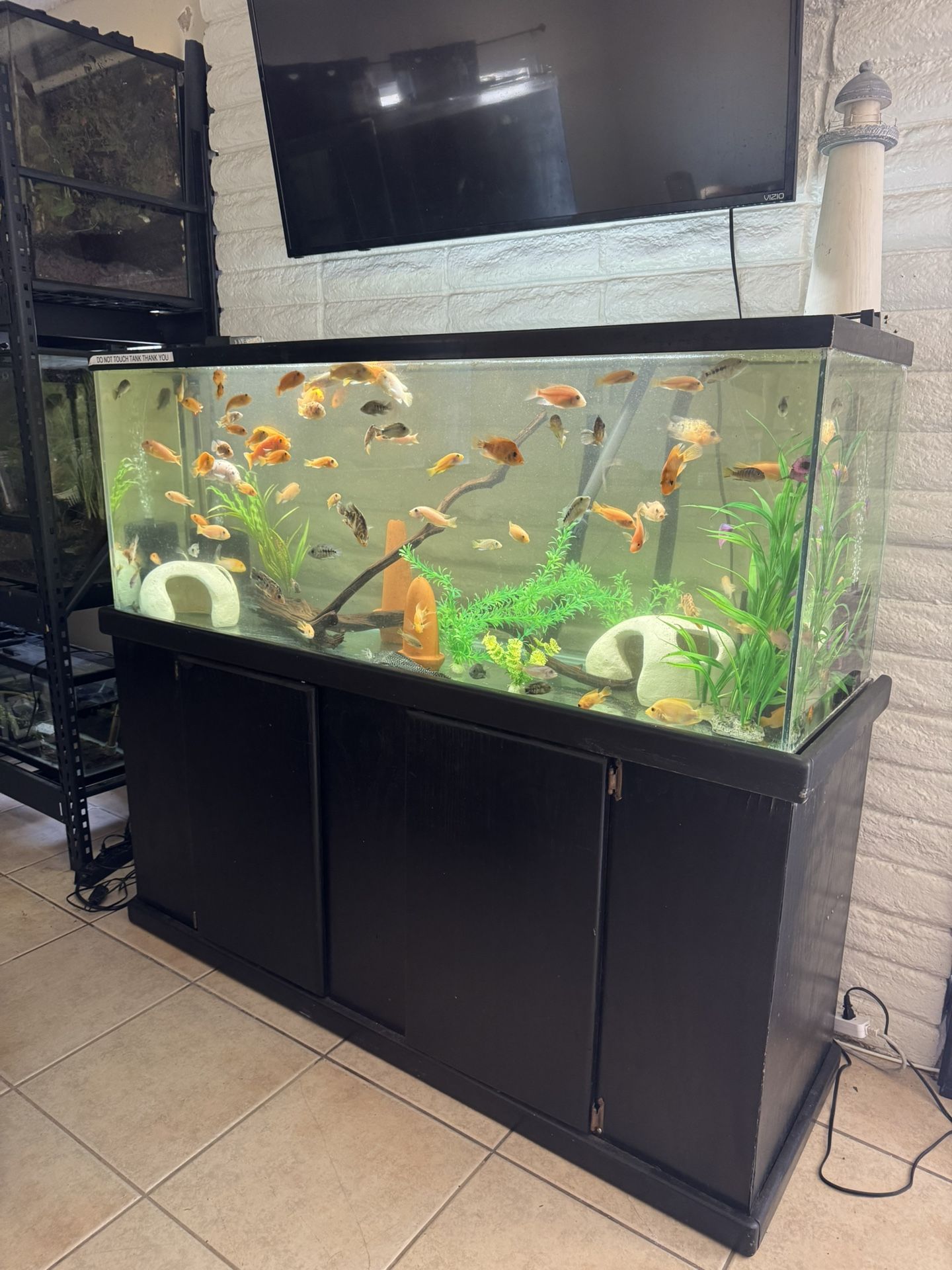 Fish Tank Aquarium 100 Gallon