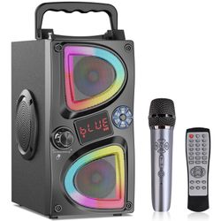 Party speaker with microphone