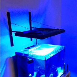 Aquarium Lighting