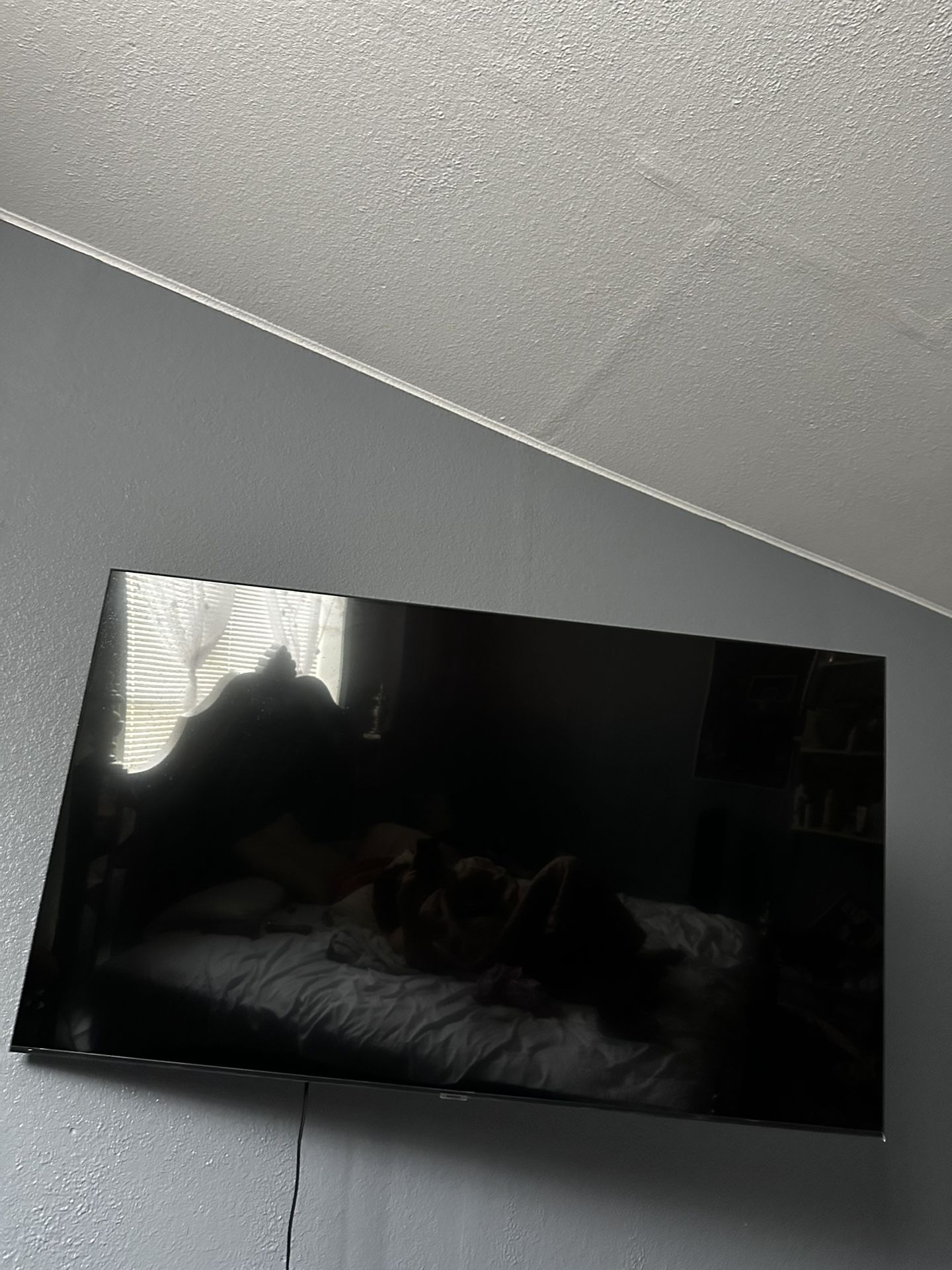 65 Inch TV