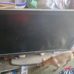 Monitor 40 Inch