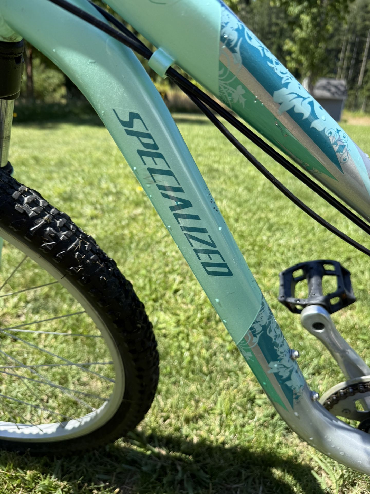 Youth Specialized Bike
