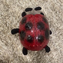 light up ladybug