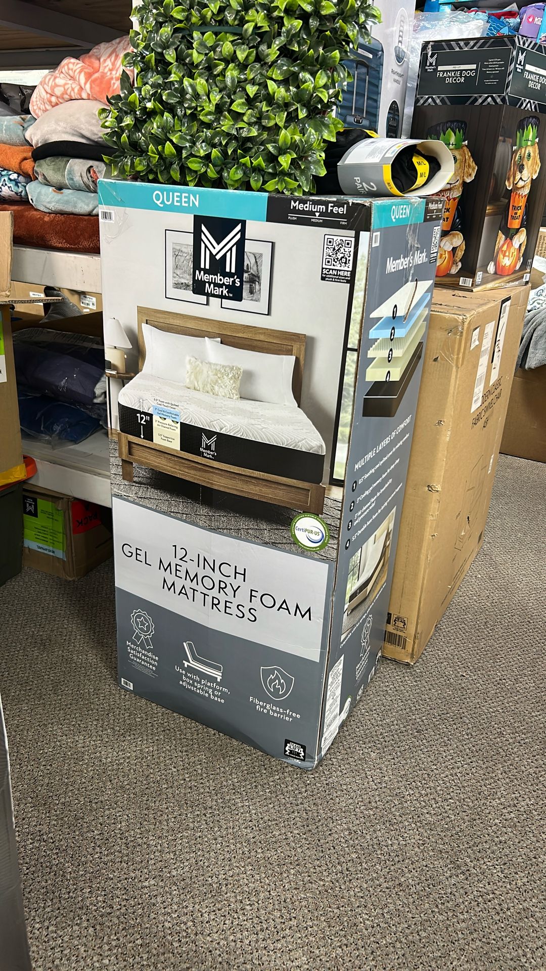 Queen 12 Inch Memory Foam Mattress