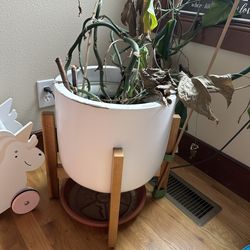 Large pot free